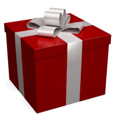 Give the Gift of Fencing
